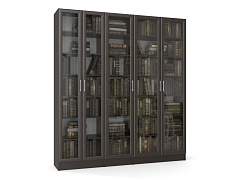 ������� ������ 5 MSK - ���.���� 