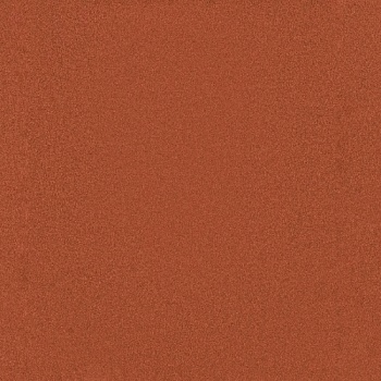 CR-21 �������� ������� ��������