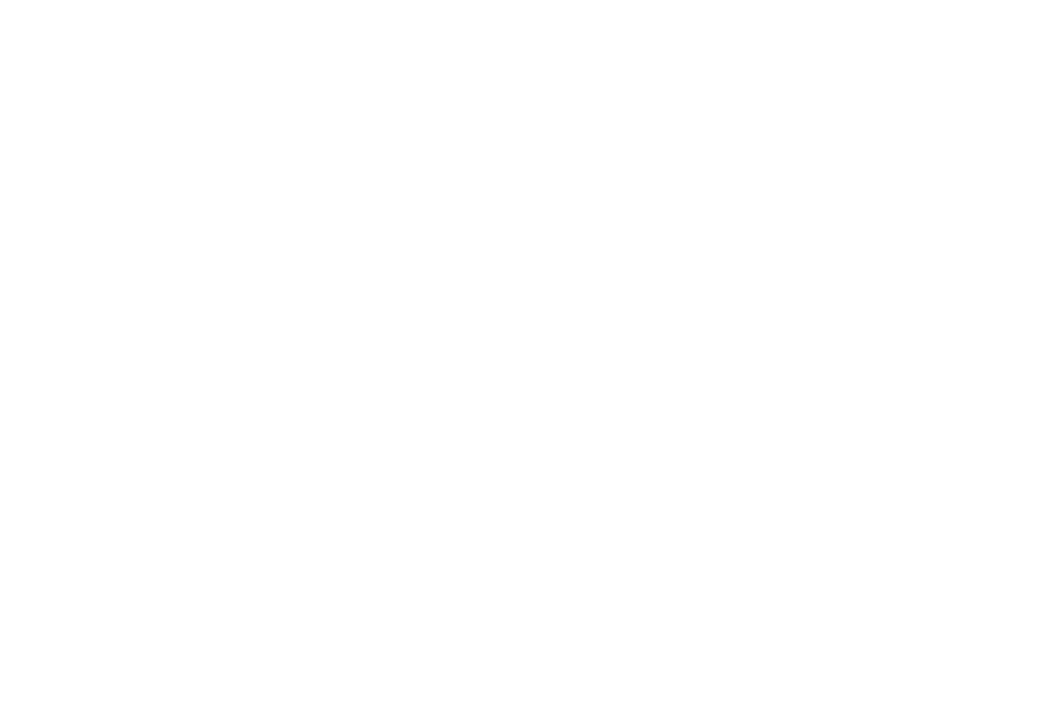 �������� ����������